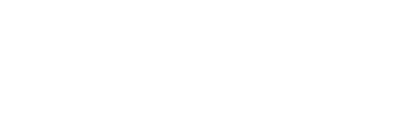 White Eagle Capitla Logo
